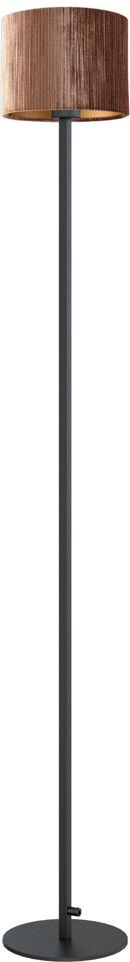 Venus VL VENUS 1-LIGHT BLACK H.145CM