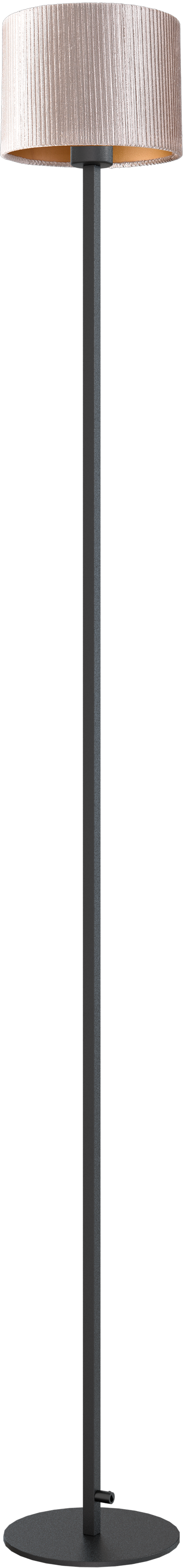 Venus VL VENUS 1-LIGHT BLACK H.170CM