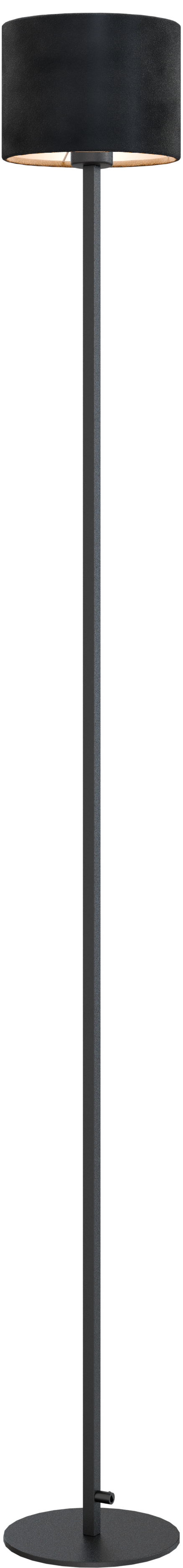 Venus VL VENUS 1-LIGHT BLACK H.170CM