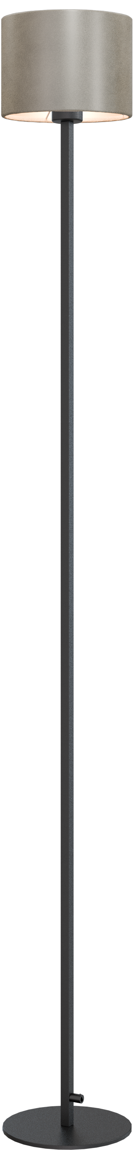 Venus VL VENUS 1-LIGHT BLACK H.170CM