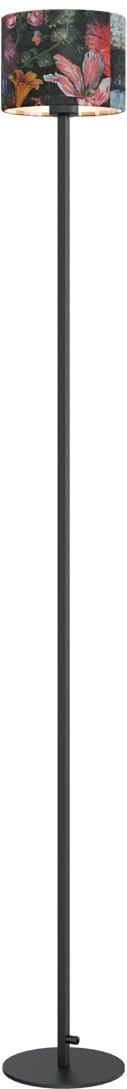 Venus VL VENUS 1-LIGHT BLACK H.170CM