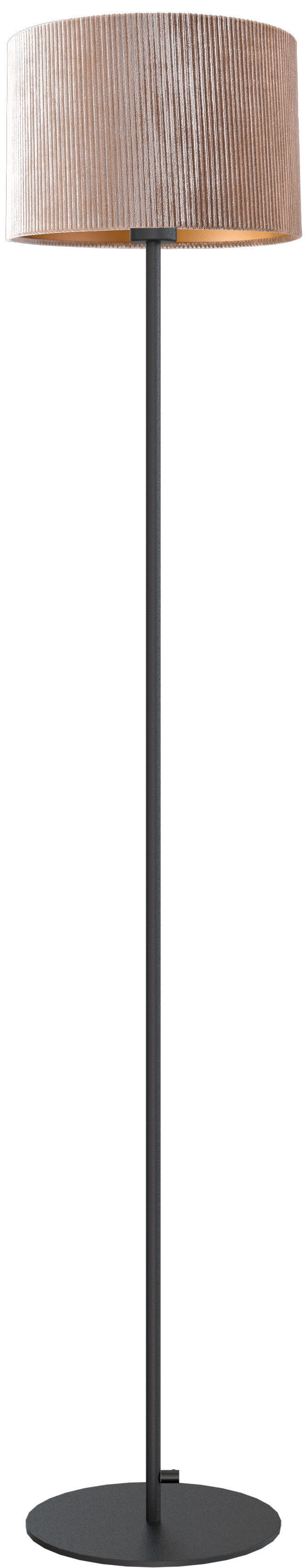 Venus VL VENUS 1-LIGHT BLACK H.150CM