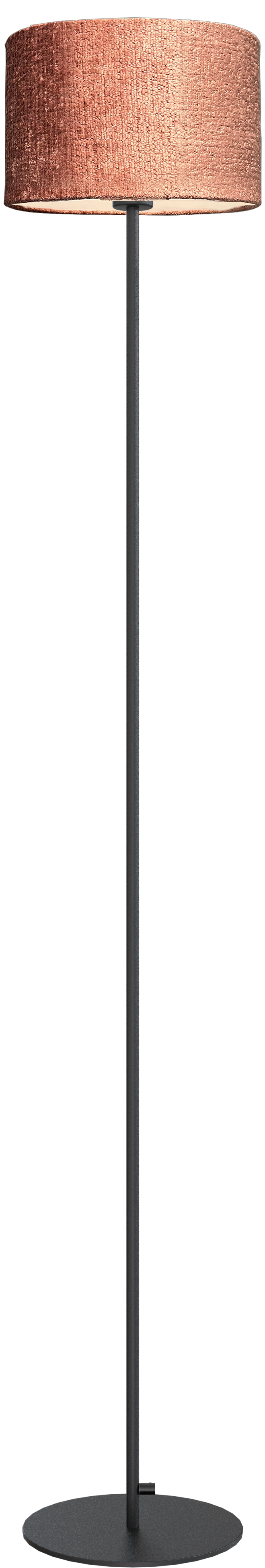 Venus VL VENUS 1-LIGHT BLACK H.175CM