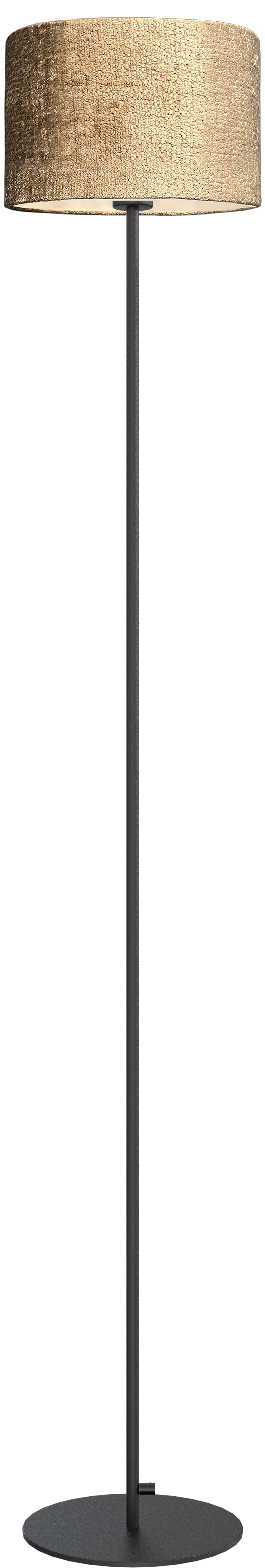 Venus VL VENUS 1-LIGHT BLACK H.175CM