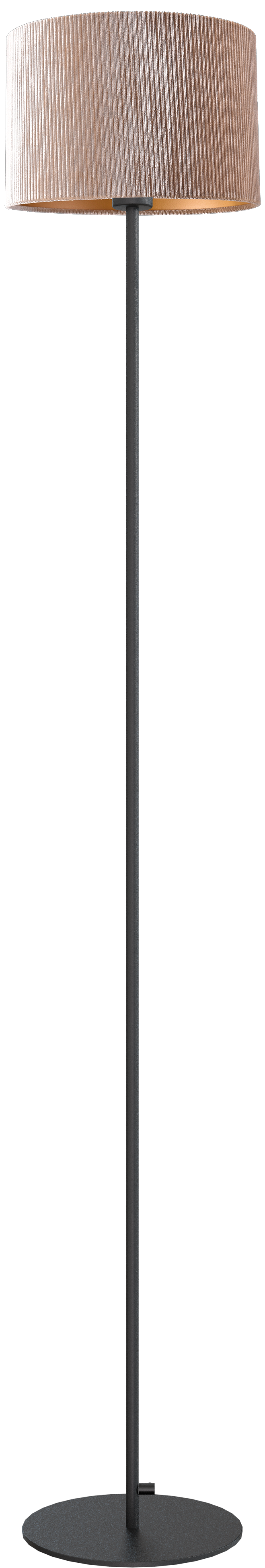 Venus VL VENUS 1-LIGHT BLACK H.175CM