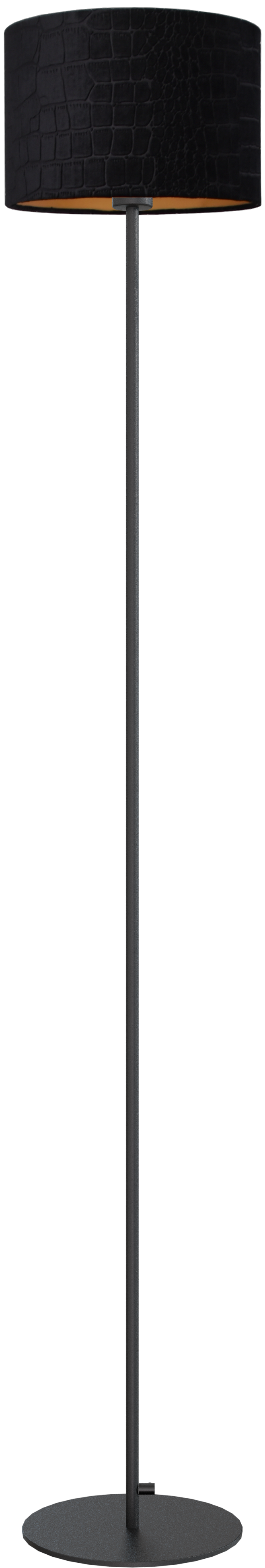 Venus VL VENUS 1-LIGHT BLACK H.175CM