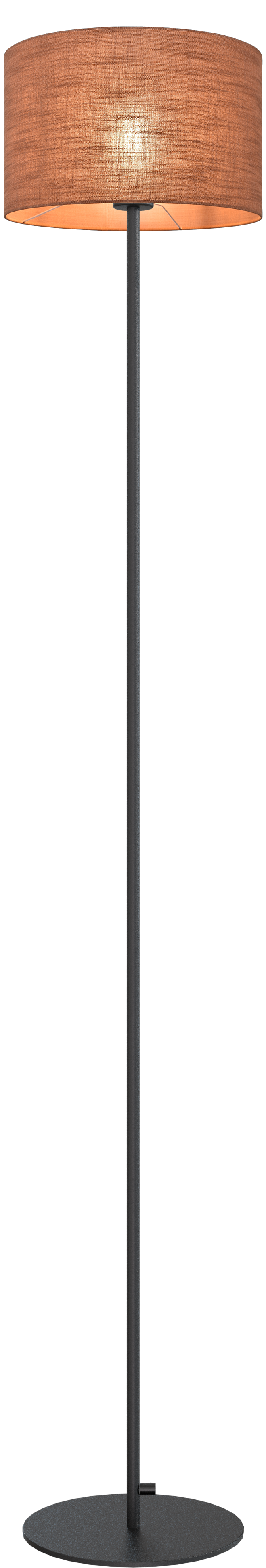 Venus VL VENUS 1-LIGHT BLACK H.175CM