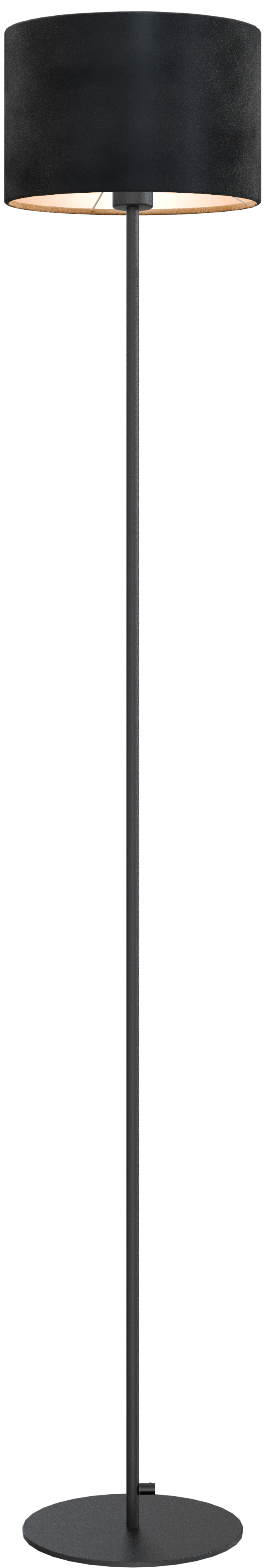 Venus VL VENUS 1-LIGHT BLACK H.175CM