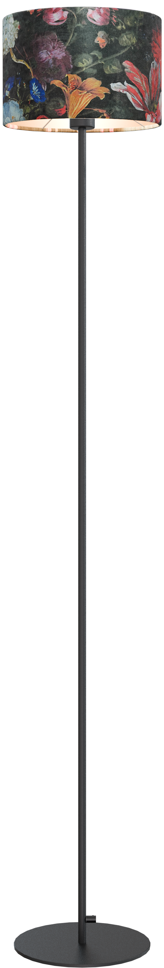 Venus VL VENUS 1-LIGHT BLACK H.175CM