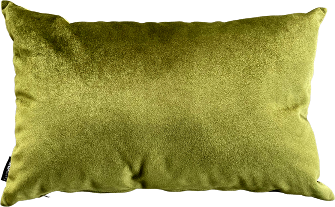Masterliving Pillows PILLOW ARTIK VELVET GREEN 60X40CM